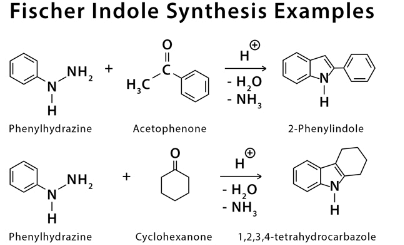 Fischer indole synthesis - Chemistry Optional Notes for UPSC PDF Download