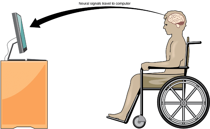 Nerve Impulse | Zoology Optional Notes for UPSC
