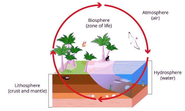 Concept of Biosphere - Botany Optional for UPSC PDF Download