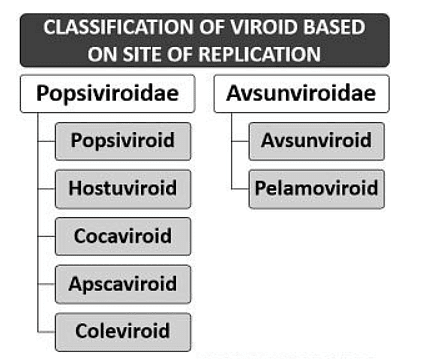 Structure and Reproduction of Viroids - Botany Optional for UPSC PDF ...