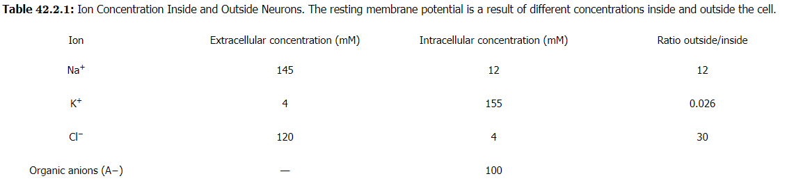 Nerve Impulse | Zoology Optional Notes for UPSC