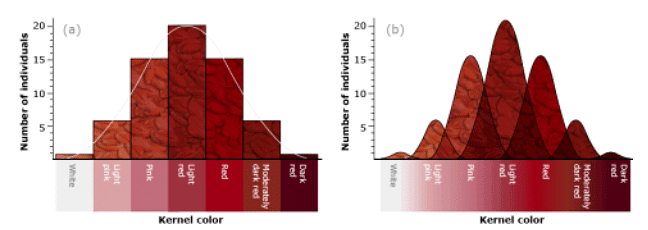 Range of wheat kernel color in an F2 generation. (a) Kernel color depicted by seven discrete classes modeled on segregation of three contributing genes, each exhibiting partial dominance. (b) Kernel color depicted by continuous variation in all seven color classes