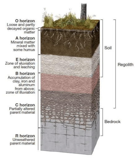 Soil profile - Geography Optional for UPSC (Notes) PDF Download