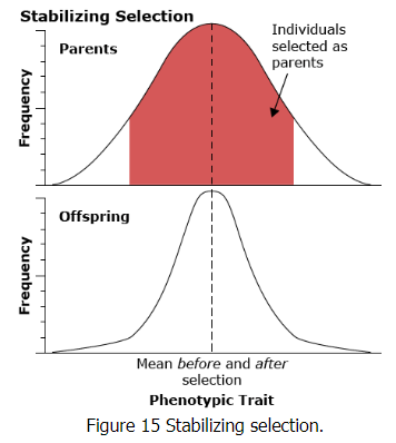 Quantitative Genetics | Botany Optional for UPSC