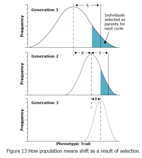 Quantitative Genetics | Botany Optional for UPSC