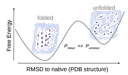 Protein Folding | Zoology Optional Notes for UPSC