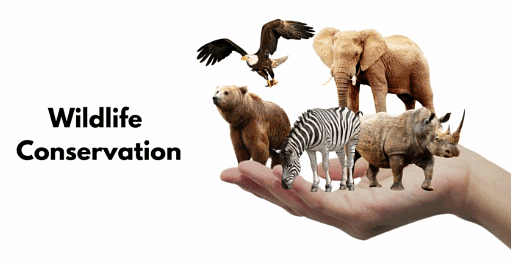 Wildlife: Conservation Projects - Zoology Optional Notes for UPSC PDF ...