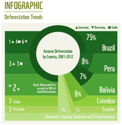 Problems of deforestation and conservation measures - Geography ...