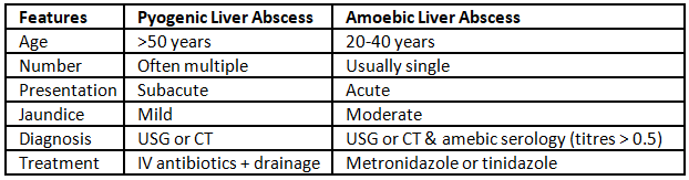 Liver Abscess - Medical Science Optional Notes for UPSC PDF Download