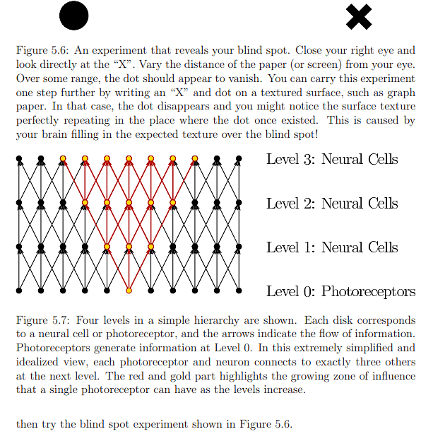 The Physiology of Human Vision | Zoology Optional Notes for UPSC