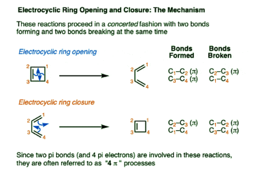 WoodwardHoffmann rules Electrocyclic reactions Chemistry Optional