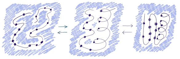 Protein Folding | Zoology Optional Notes for UPSC