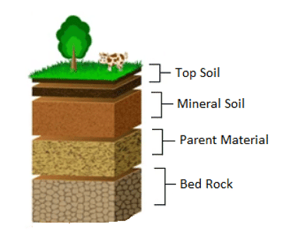 Mineral and Organic Constituents of Soils and their Role - Agriculture ...