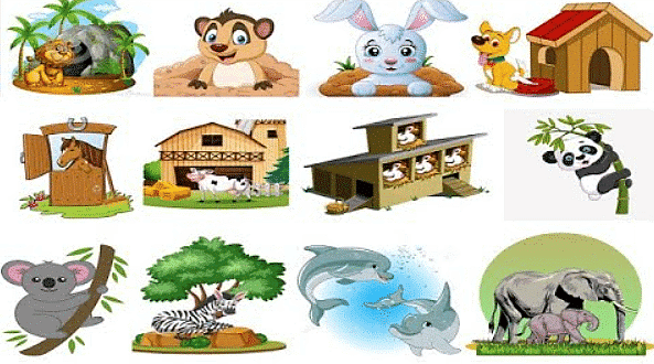 Homes of Animals, Insects And Birds - Notes | Study Science Olympiad for  Class 1 - Class 1