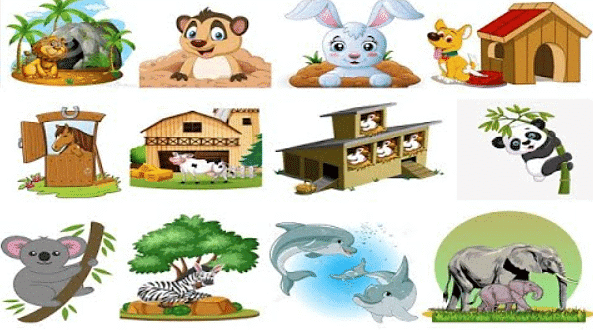 Homes of Animals, Insects And Birds - Notes | Study Science Olympiad for Class 1 - Class 1 Homes of Animals, Insects And Birds - Notes | Study Science Olympiad for Class 1 - Class 1