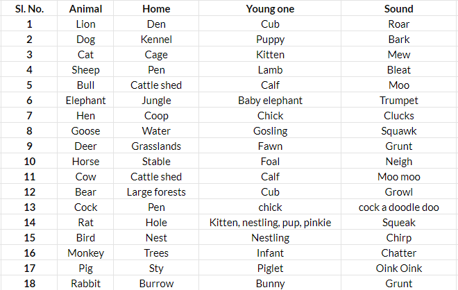 Homes of Animals, Insects And Birds - Notes | Study Science Olympiad for Class 1 - Class 1 Homes of Animals, Insects And Birds - Notes | Study Science Olympiad for Class 1 - Class 1