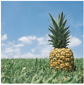 CSS Float, Clear and Float Examples | CSS for Beginners - Class 6