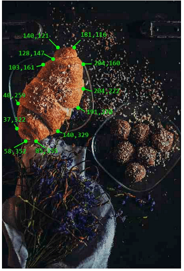 HTML Links & Images | HTML for Junior Classes - Class 3