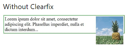 CSS Float, Clear and Float Examples | CSS for Beginners - Class 6