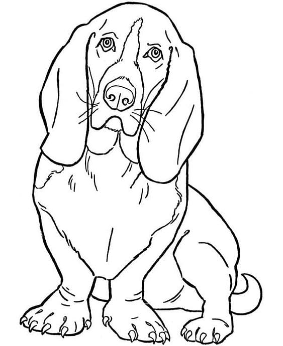 Printable Worksheet: Dog Notes | Study Hands on Art & Craft - Class 1