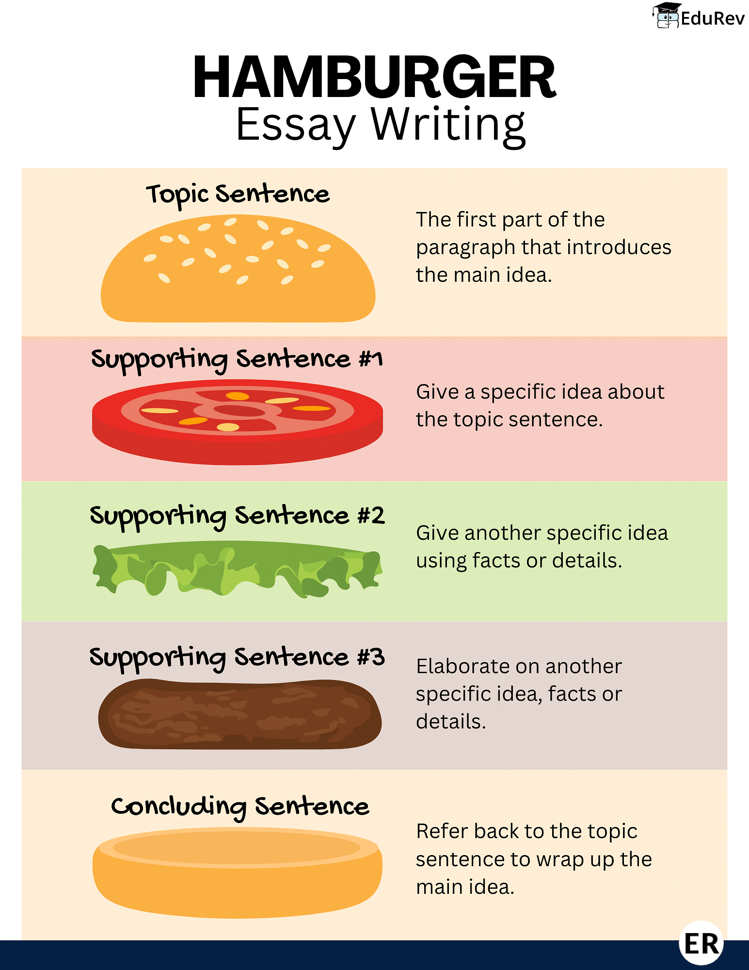 Learn at a Glance: Essay Writing | English Grammar Class 4