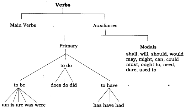 worksheet solutions the verb special finite verbs notes class 7
