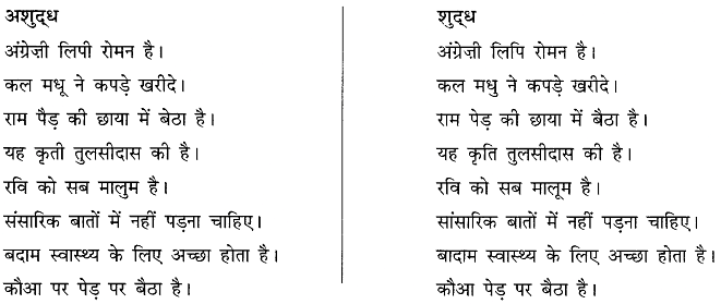 अशुद्धि शोधन | Hindi Grammar Class 10