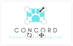 Creating a Flyer | Canva for Beginners - Class 8