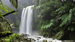 nature essay for class 8 Essay On Nature - Notes | Study Essays for Class 8 - Class 8