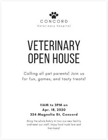 Creating a Flyer | Canva for Beginners - Class 8