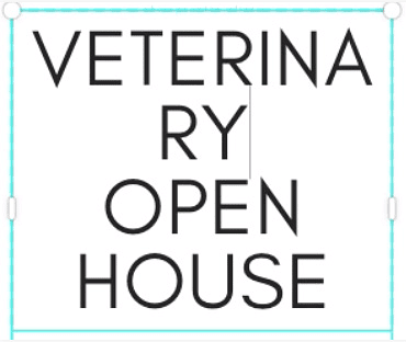 Creating a Flyer | Canva for Beginners - Class 8