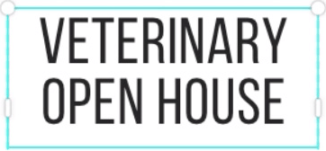 Creating a Flyer | Canva for Beginners - Class 8