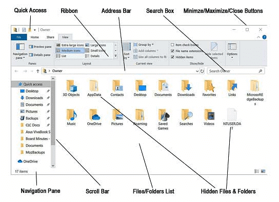 Microsoft Windows & Features | Computer Science for Class 7