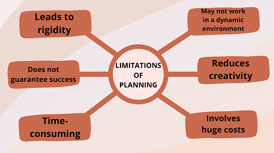 explain limitations of business plan