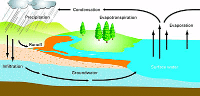 Groundwater Movement