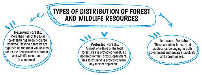 Class 10 Geography Chapter 2 Notes - Forest and Wildlife Resources