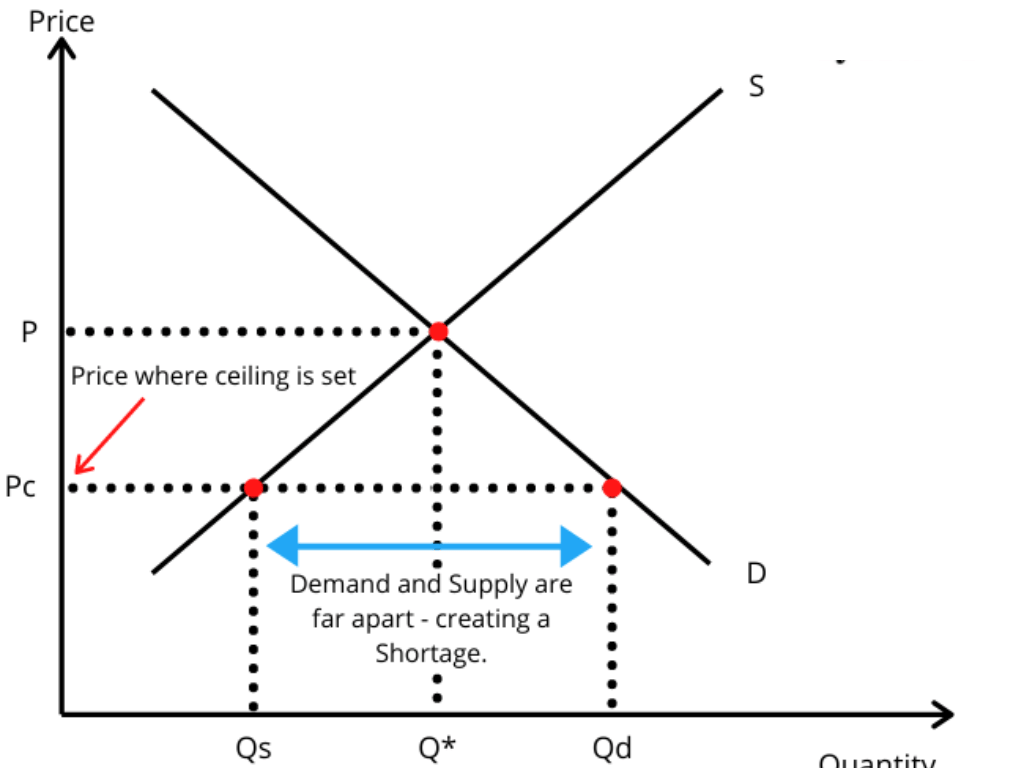 Price Determination Chapter Notes Economics Class 11 Commerce PDF