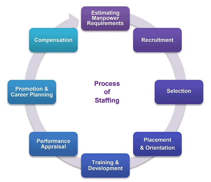 Staffing Chapter Notes | Business Studies (BST) Class 12 - Commerce