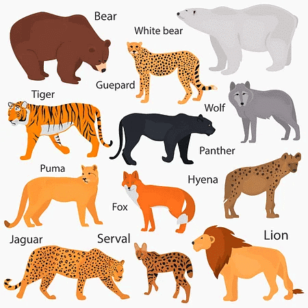 Detailed Notes: Animal Life - Notes | Study Science Class 5 - Class 5 Detailed Notes: Animal Life - Notes | Study Science Class 5 - Class 5