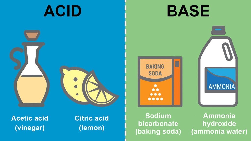 Acids, Bases and Salts Class 7 Notes Science Chapter 2 Free PDF