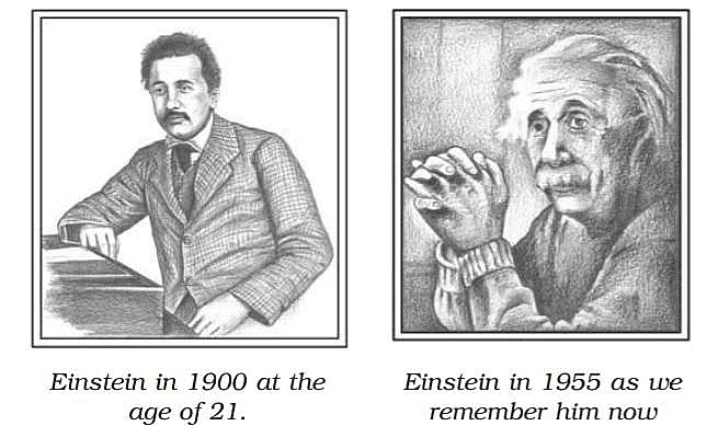 NCERT Solutions for Class 9 English Beehive Chapter 4 - A Truly Beautiful Mind