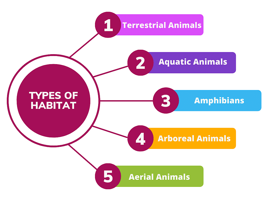 Detailed Notes: Animal Life - Notes | Study Science Class 5 - Class 5