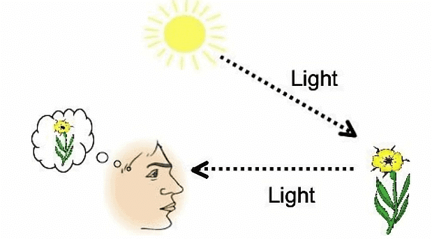 Light Class 8 Notes Science Chapter 13 Free PDF