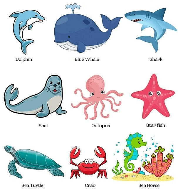 Animals Food and Shelter Class 1 Notes EVS Free PDF