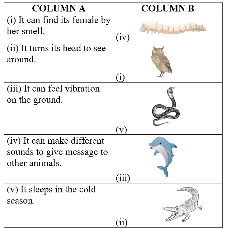 Worksheet Solution: Super Senses - Notes | Study EVS Class 5 - Class 5
