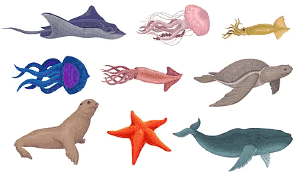 Detailed Notes: Animal Life - Notes | Study Science Class 5 - Class 5 Detailed Notes: Animal Life - Notes | Study Science Class 5 - Class 5
