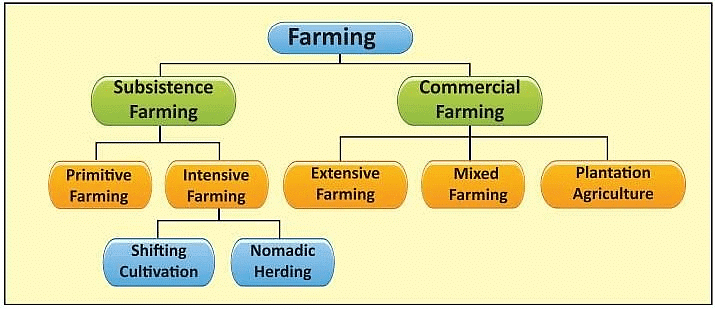 Class 8 Geography Chapter 4 Notes - Agriculture Free PDF
