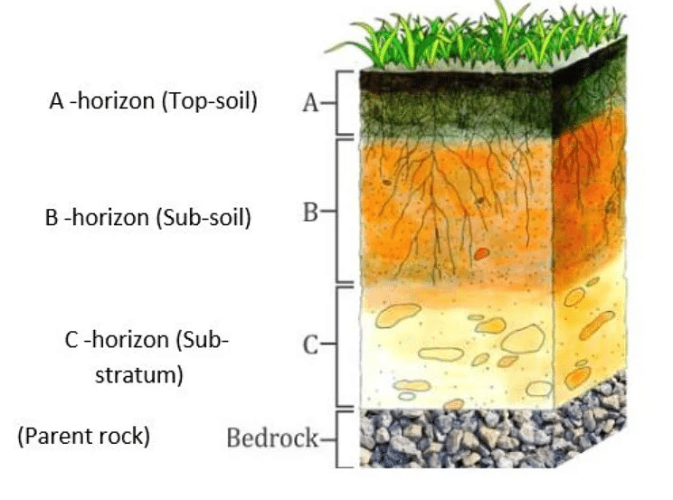 Soil Erosion and Conservation Class 5 Notes Science Free PDF