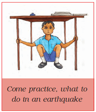 When the Earth Shook NCERT Solutions | EVS Class 5