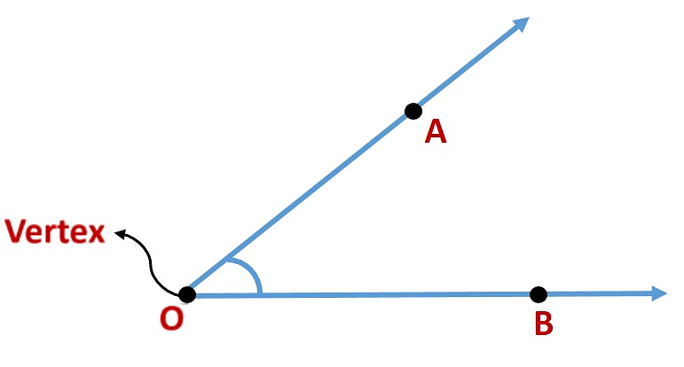 Basic Geometrical Ideas Class 6 Notes Maths Chapter 4